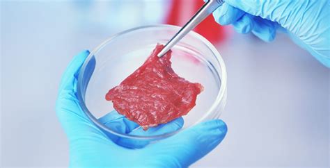 laboratory analysis meat|walmart lab grown meat.